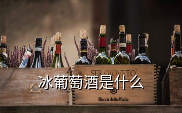 冰葡萄酒是什么