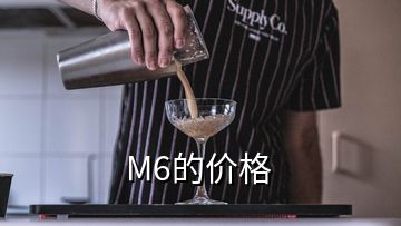 M6的價(jià)格