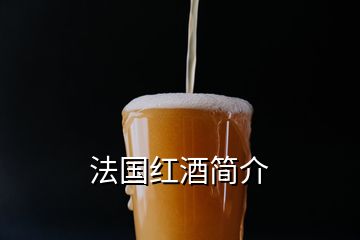 法國紅酒簡介