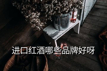 進(jìn)口紅酒哪些品牌好呀