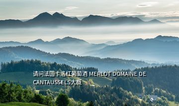 請(qǐng)問(wèn)法國(guó)卡洛紅葡萄酒 MERLOT DOMAINE DE CANTAUSSELS大概