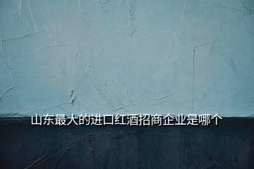 山東最大的進(jìn)口紅酒招商企業(yè)是哪個(gè)