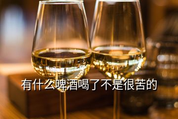 有什么啤酒喝了不是很苦的