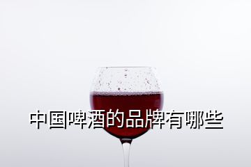 中國啤酒的品牌有哪些