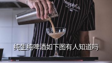 純生純啤酒如下圖有人知道嗎