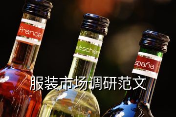 服裝市場(chǎng)調(diào)研范文