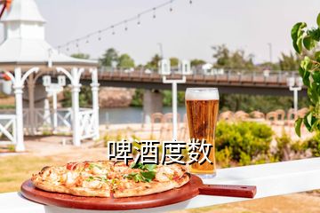 啤酒度數(shù)