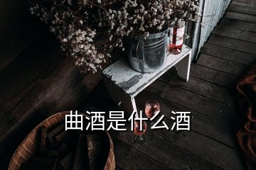 曲酒是什么酒