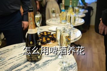 怎么用啤酒養(yǎng)花