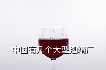 中國(guó)有幾個(gè)大型酒精廠