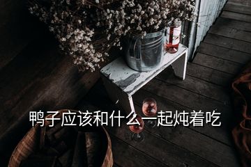 鴨子應(yīng)該和什么一起燉著吃