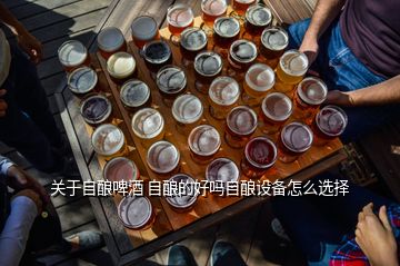 關(guān)于自釀啤酒 自釀的好嗎自釀設(shè)備怎么選擇