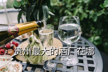 貴州最大的酒廠在哪