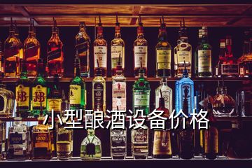 小型釀酒設(shè)備價格