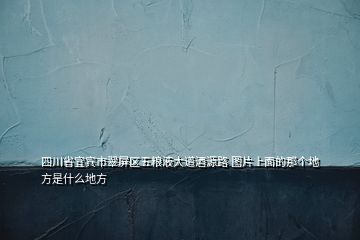 四川省宜賓市翠屏區(qū)五糧液大道酒源路 圖片上面的那個(gè)地方是什么地方