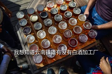 我想知道云南鎮(zhèn)雄有沒有白酒加工廠