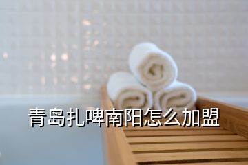 青島扎啤南陽怎么加盟