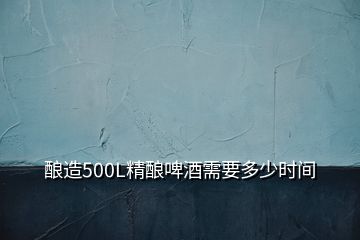 釀造500L精釀啤酒需要多少時(shí)間