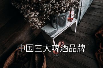 中國三大啤酒品牌