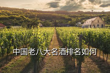 中國(guó)老八大名酒排名如何