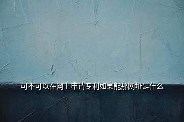 可不可以在網(wǎng)上申請(qǐng)專(zhuān)利如果能那網(wǎng)址是什么