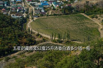 五星封藏原漿52度25升濃香白酒多少錢一瓶