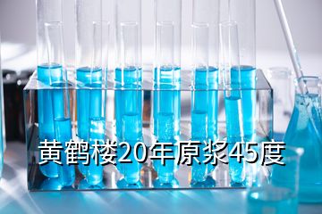 黃鶴樓20年原漿45度