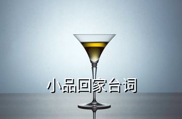 小品回家臺(tái)詞