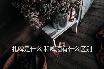 扎啤是什么 和啤酒有什么區(qū)別