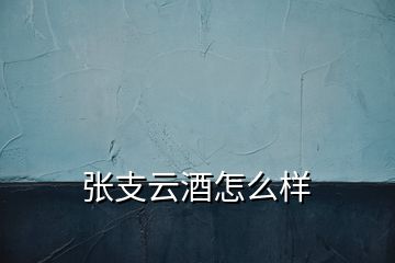 張支云酒怎么樣