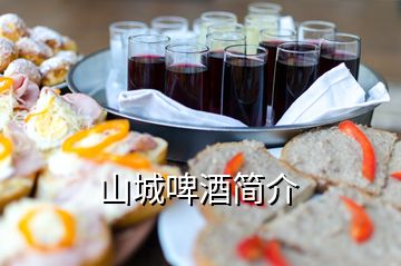 山城啤酒簡(jiǎn)介