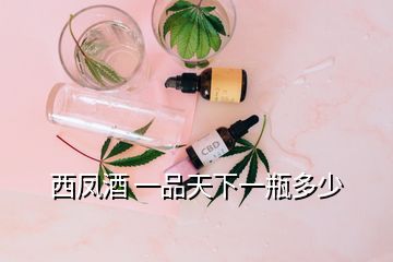 西鳳酒 一品天下一瓶多少