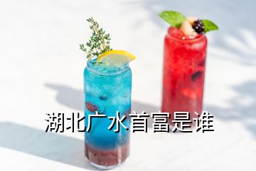 湖北廣水首富是誰