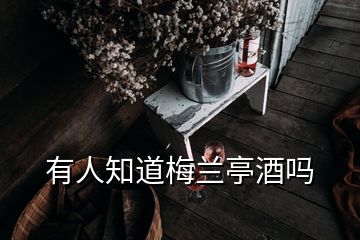 有人知道梅蘭亭酒嗎