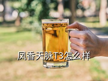 鳳香天脈T3怎么樣