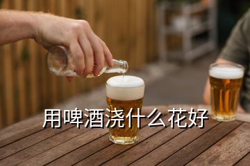 用啤酒澆什么花好