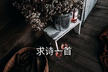 求詩一首