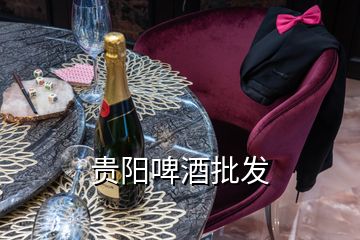 貴陽啤酒批發(fā)