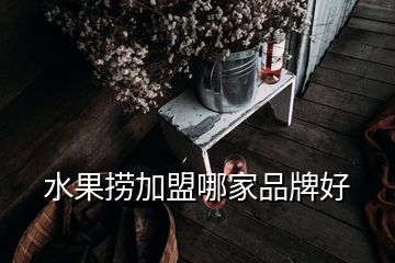 水果撈加盟哪家品牌好