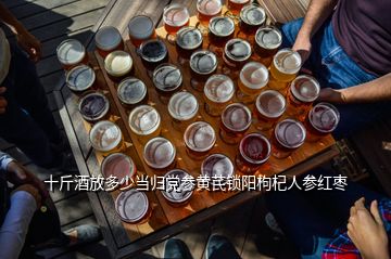 十斤酒放多少當(dāng)歸黨參黃芪鎖陽枸杞人參紅棗