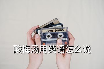 酸梅湯用英語怎么說