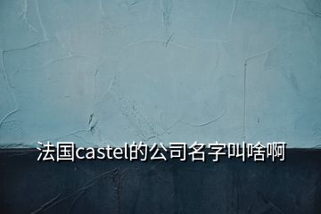 法國castel的公司名字叫啥啊