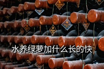 水養(yǎng)綠蘿加什么長(zhǎng)的快