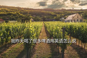 我昨天喝了很多啤酒用英語(yǔ)怎么說