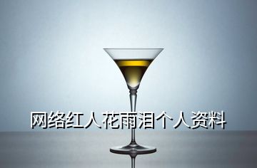 網(wǎng)絡(luò)紅人花雨淚個(gè)人資料