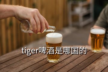 tiger啤酒是哪國(guó)的