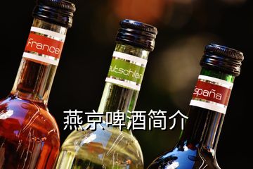 燕京啤酒簡介