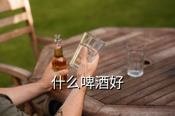 什么啤酒好