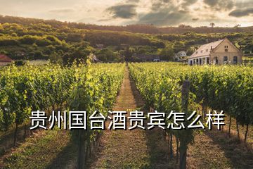 貴州國臺(tái)酒貴賓怎么樣