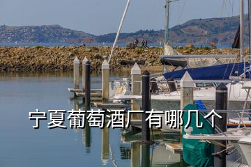 寧夏葡萄酒廠有哪幾個